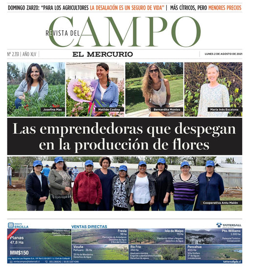 Revista del Campo EL MERCURIO