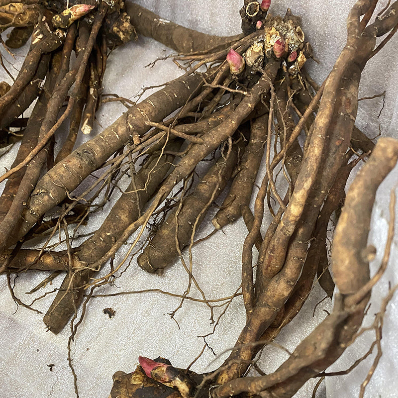 Kansas Rhizomes Box